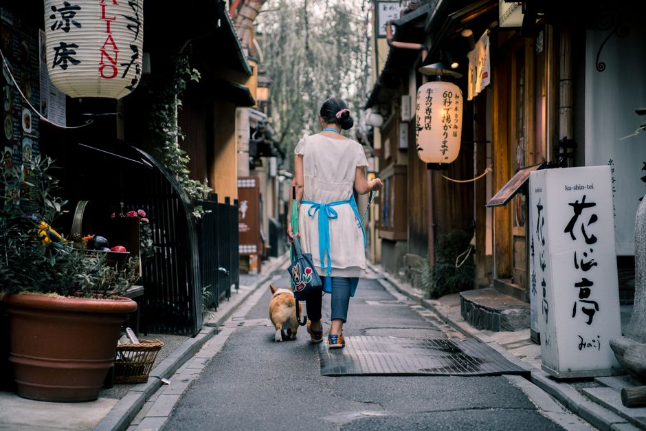 掛著燈籠的日式老街窄巷，行人牽著狗散步而過