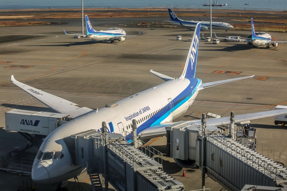全日空客機停靠空橋，機尾旁露出一片海景